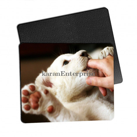 Mouse Pad (9x7 Inch)