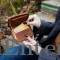Unisex Wallet